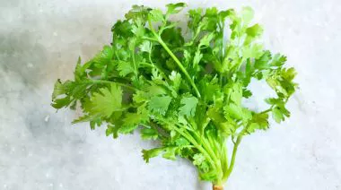 garnishing-instructions-image